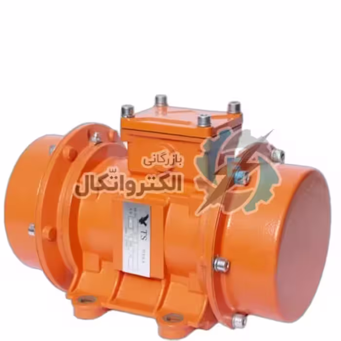 موتور ویبره بدنه سه فاز T2-100 تکنو سعدی 100 کیلوگرم 3000 دور ا Three-phase body vibration motor T2-100 Techno Saadi 3000 rpm