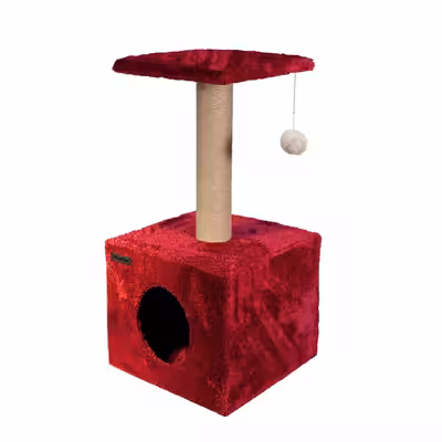 اسکرچر گربه هیوا پت مدل B33