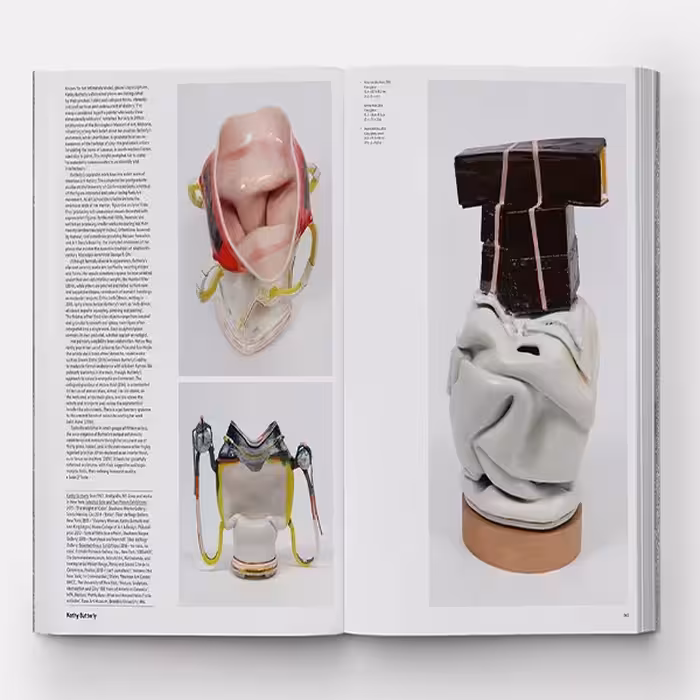 كتاب Vitamin C: Clay and Ceramic in Contemporary Art اثر Clare Lilley انتشارات فیدون