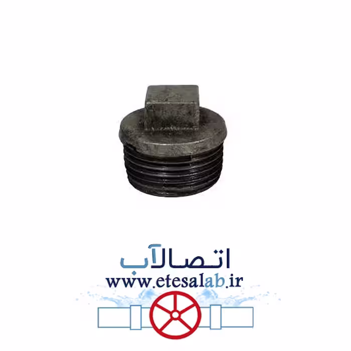 درپوش زنگوله ای “1/4 1 گالوانیزه خارجی اقتصادی