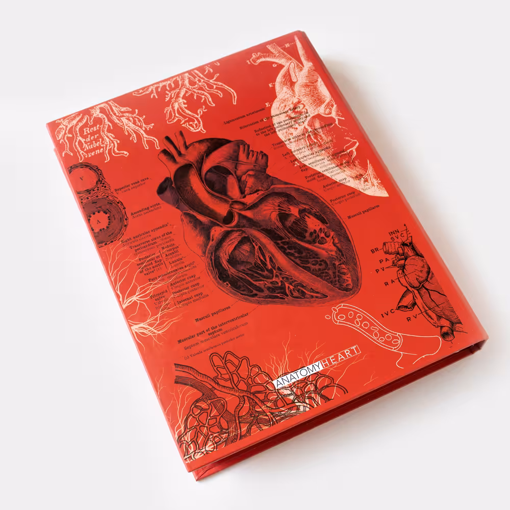 کلاسور 26 حلقه HEART دات نوت (dotnote)