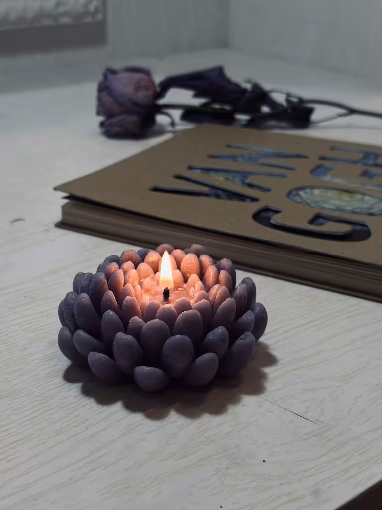 شمع گل داوودی