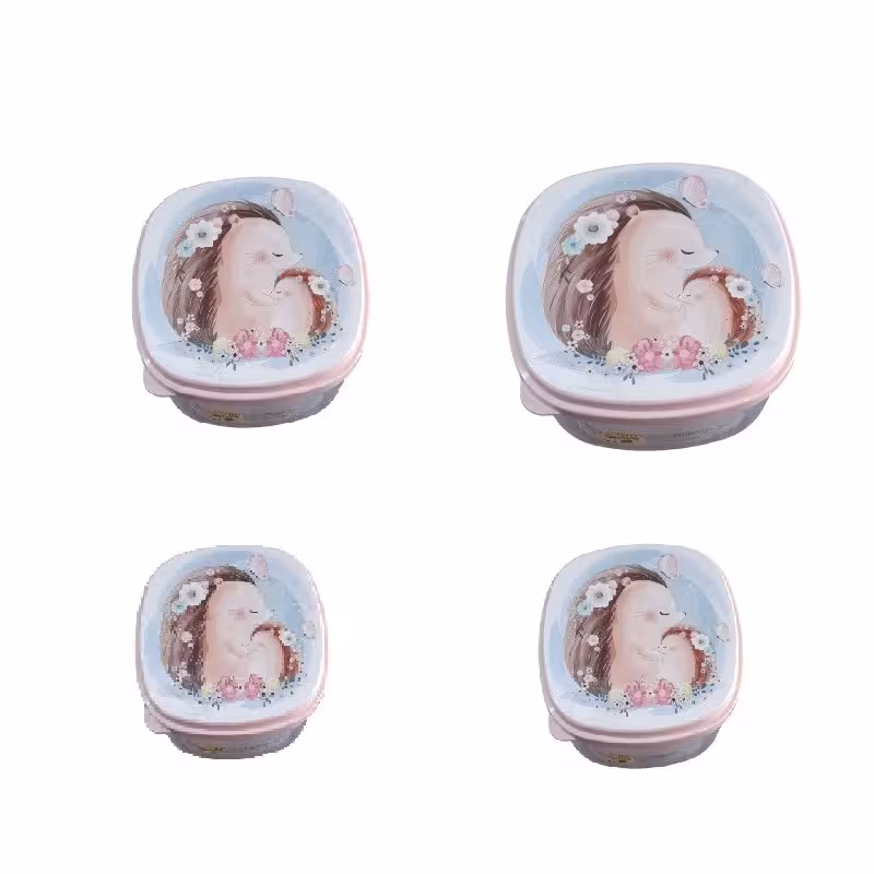 ظرف نگهدارنده بسته4   عددی 