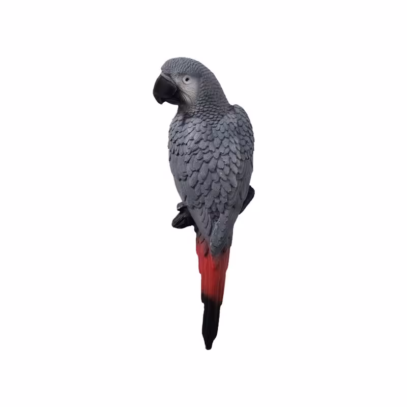 مجسمه مدل طوطی دیواری طرح کاسکو