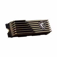اس اس دی اینترنال ام اس آی مدل M460 هیت سینک ظرفیت 2 ترابایت