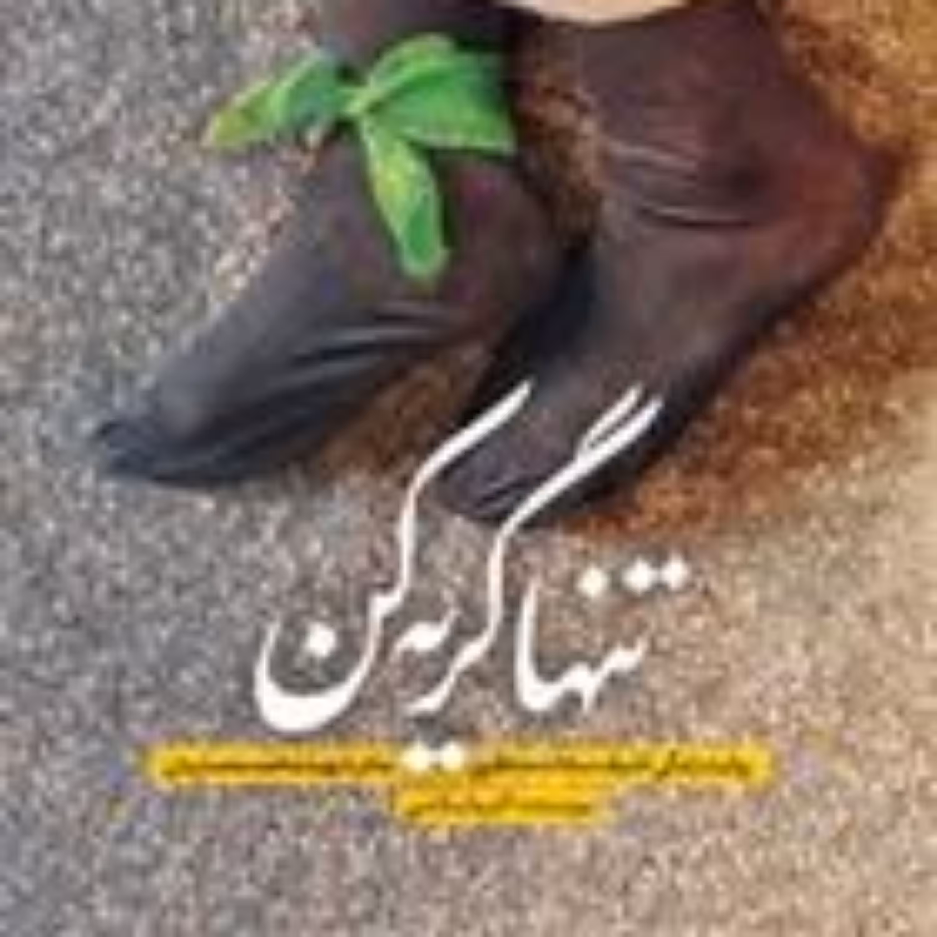 کتاب کتاب تنها گریه کن