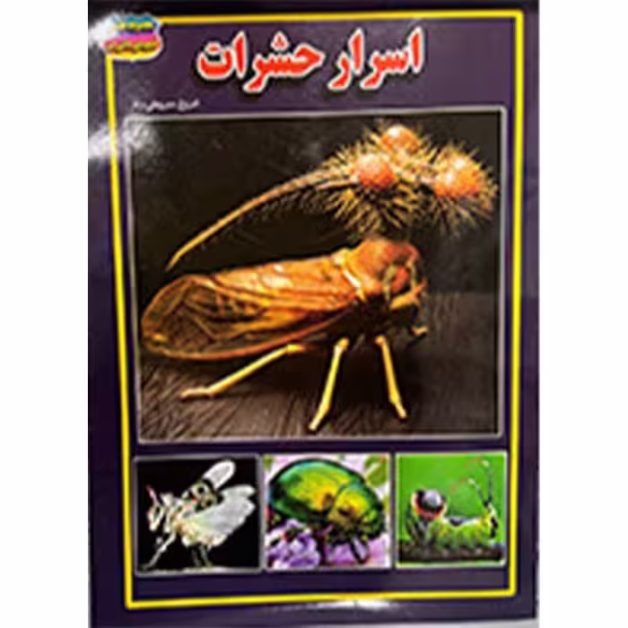 اسرار حشرات