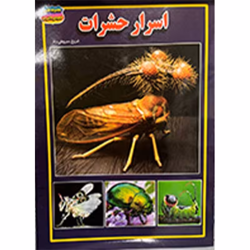 اسرار حشرات