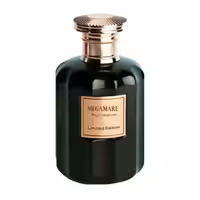عطر ادکلن روبرتو ویزاری مگاماره | ROBERTO VIZZARI Megamare
