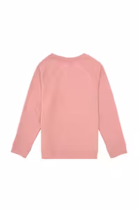 سویشرت پسرانه ارکیده یو اس پولو