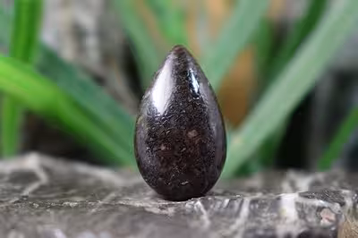 فسیل استخوان دایناسور