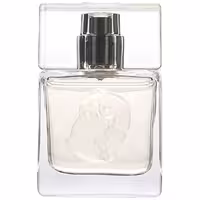 عطر جیبی مردانه دندلیون مدل Aries حجم 30 میلی لیتر – فروردین  Dandelion Aries Eau De Parfum for Men 30ml