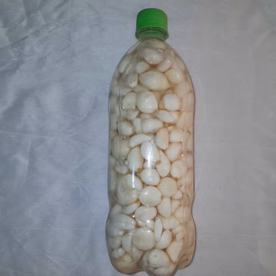 ترشی سیر صدفی سفید