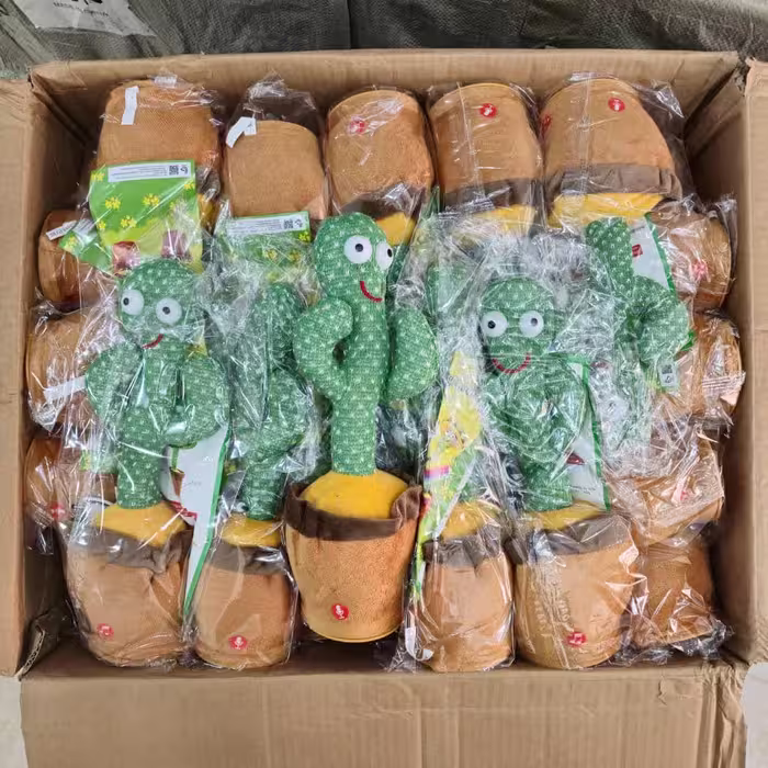 کاکتوس سخن گو رقصنده