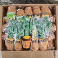 کاکتوس سخن گو رقصنده