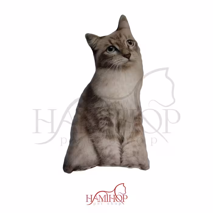 کوسن مدل فانتزی طرح گربه