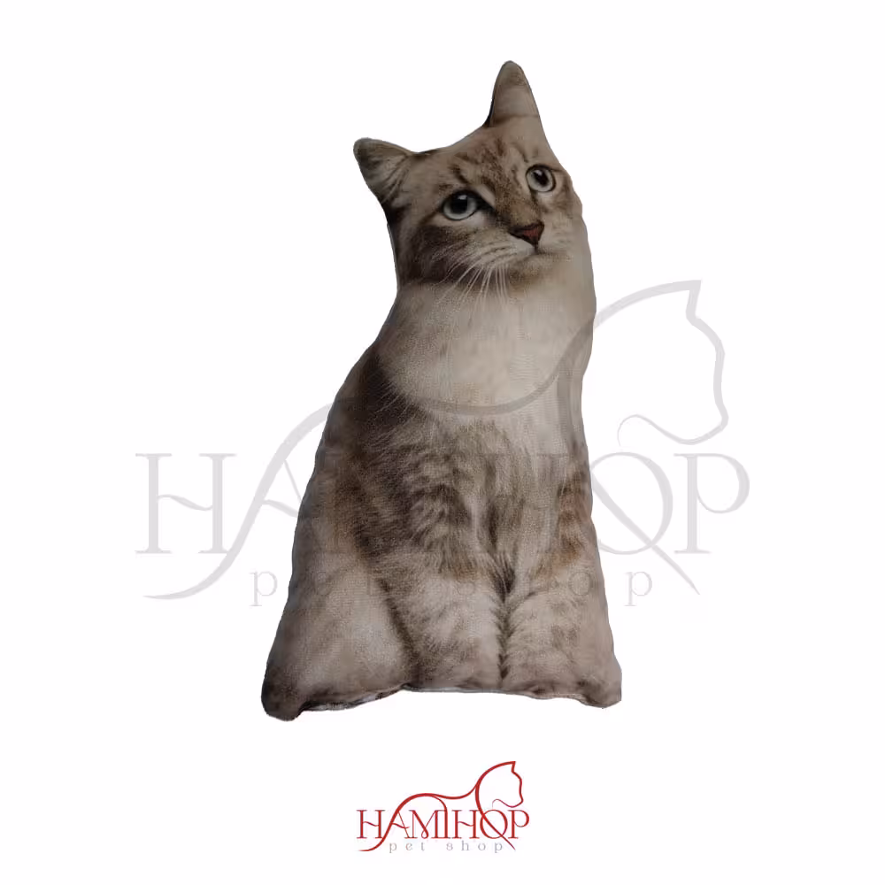 کوسن مدل فانتزی طرح گربه