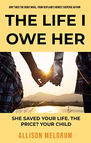 خرید و دانلود نسخه کامل کتاب The Life I Owe Her: A Twisty Psychological Domestic Thriller -   Pdf