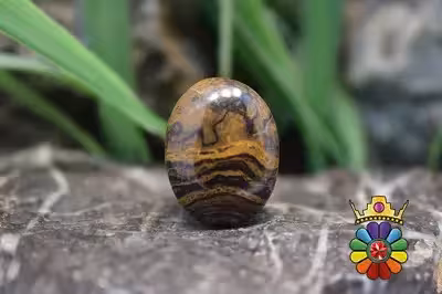 استروماتولیت