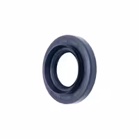 کاسه نمد کیا ریو