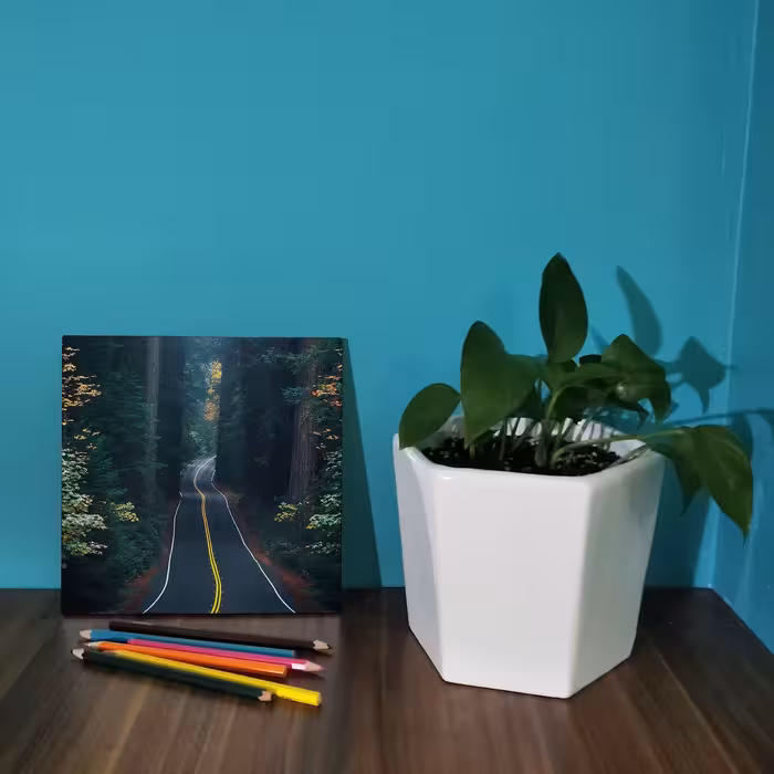 کاشی کارنیلا طرح جاده جنگلی مدل لوحی کد WKB722 