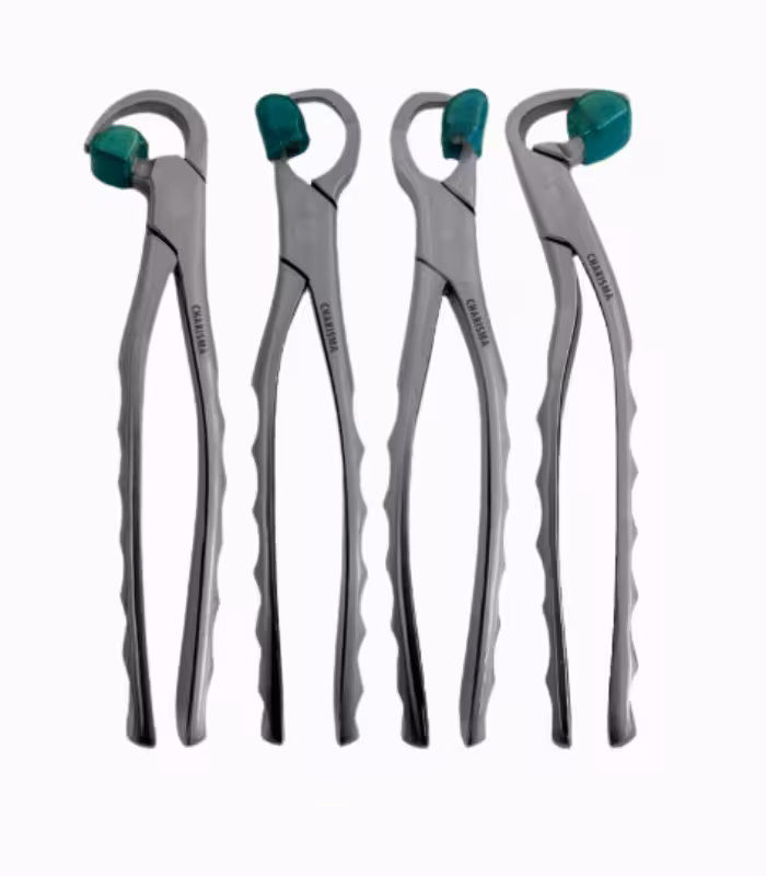 ست فیزیک فورسپس (آتراماتیک) 2برند