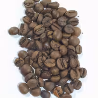 دان قهوه اوگاندا ربوستا دابل سرت (ارسال با اسنپ)