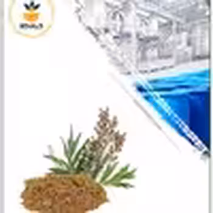 عصاره درمنه خشک (پودری)