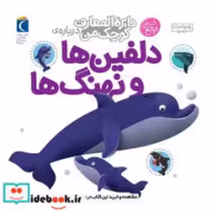 کتاب دلفین ها و نهنگ ها از نشر محراب قلم