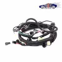 دسته سیم محفظه موتور یورو 4 نیسان – 24012NM004 – دناکو