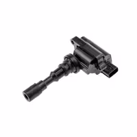 کوئل کیا اپیروس