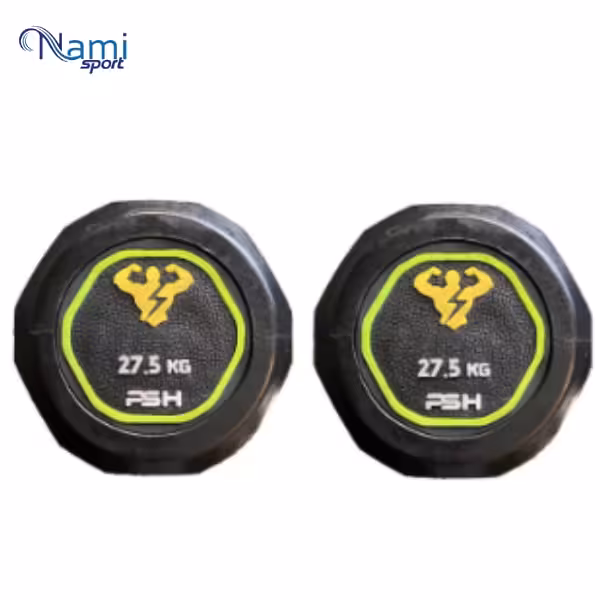 دمبل گرد وزن 27.5 کیلوگرم