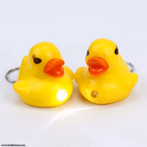 جا کلیدی اردک چراغدار