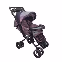 کالسکه تک دلیجان طرحدار چیکو