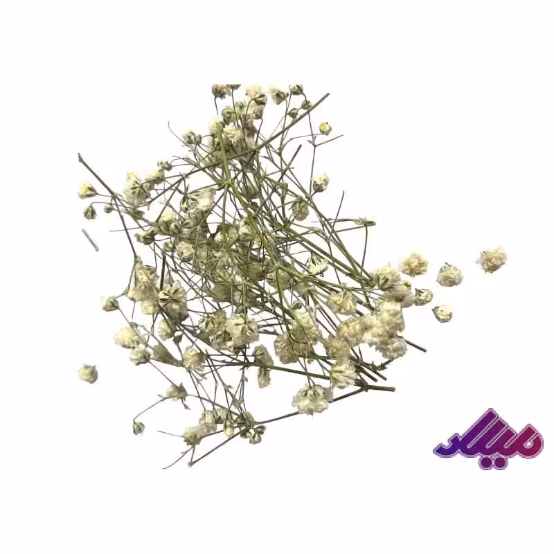 گل خشک ژیپسو سفید G51