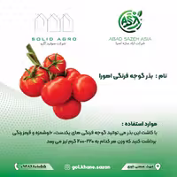 بذر گوجه فرنگی اهورا  پاکت 1000 عددی
