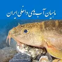کتاب ماهیان آب‌های داخلی ایران
