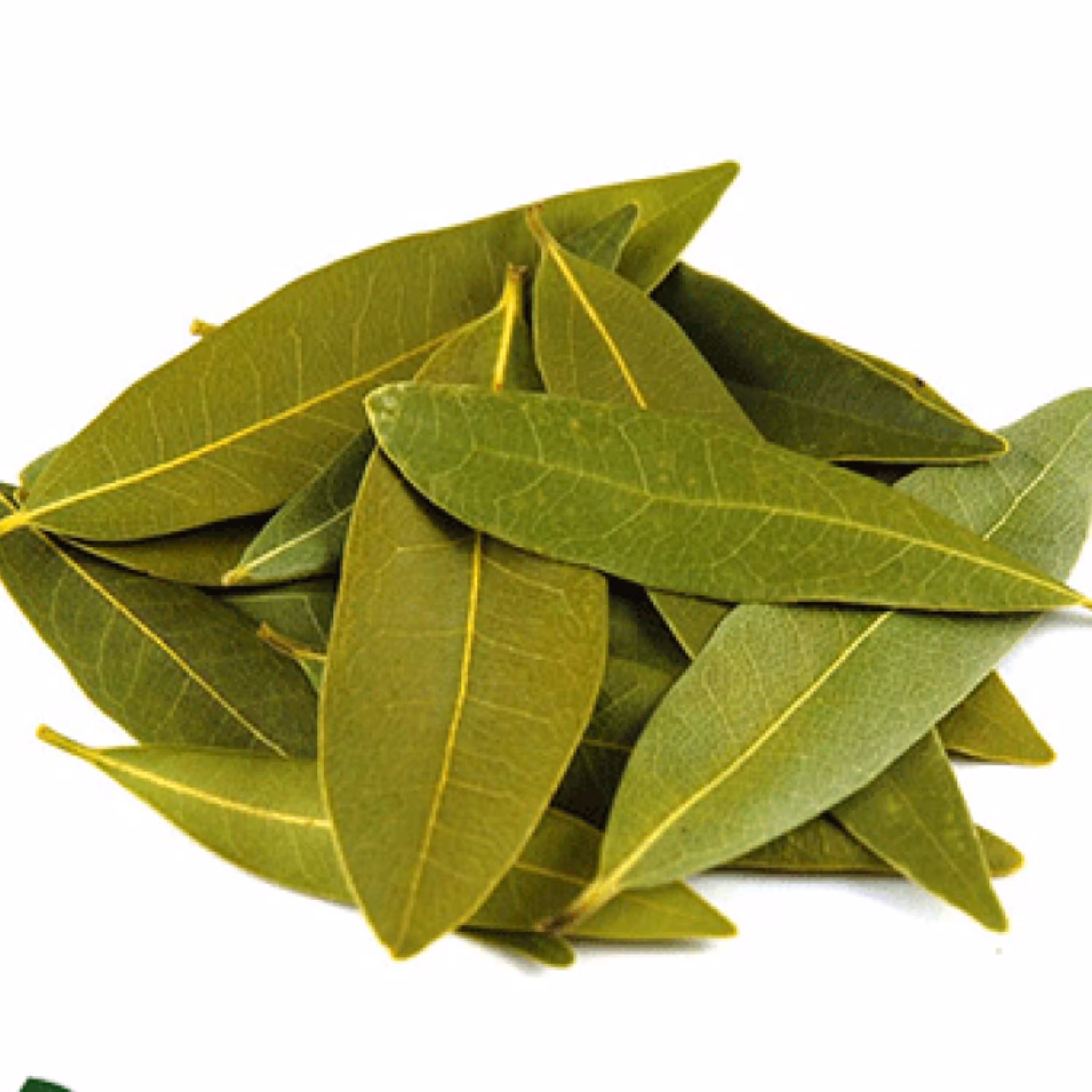 برگ بو (50 گرمی ) عطاری نیکو طبیب