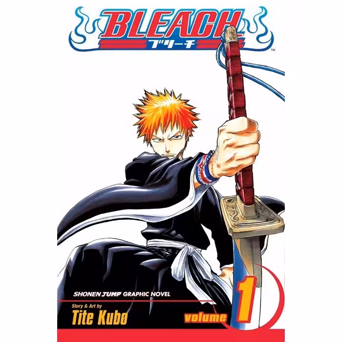 Bleach v01