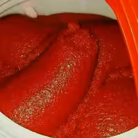 رب گوجه خانگی عمده