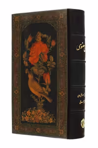 کتاب مثنوی معنوی پالتویی