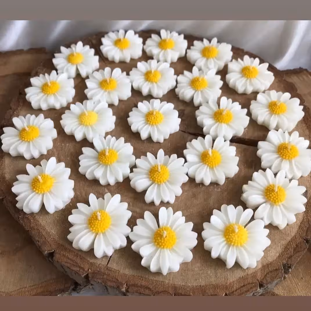 شمع گل مارگاریت عمده 23 عددی