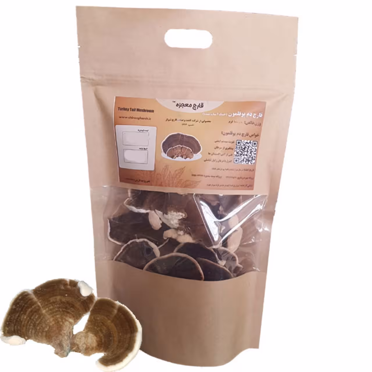 قارچ دم بوقلمون وزن 100 گرم