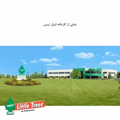 خوشبو کننده خودرو لیتل تریس مدل Green Apple