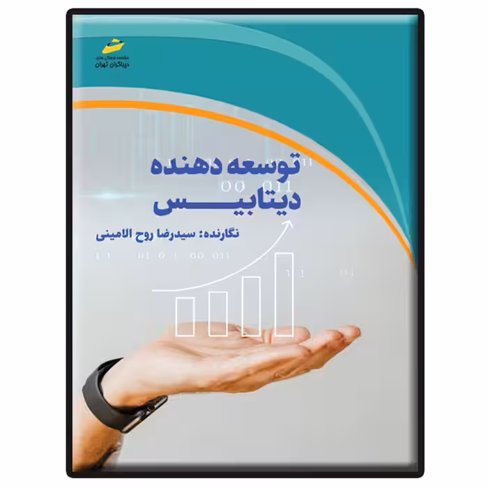 کتاب توسعه دهنده دیتابیس اثر سید رضا روح‌الامینی انتشارات دیباگران تهران