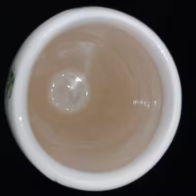 گلدان سرامیکی هیوا طرح رز ایستاده کد 11026009