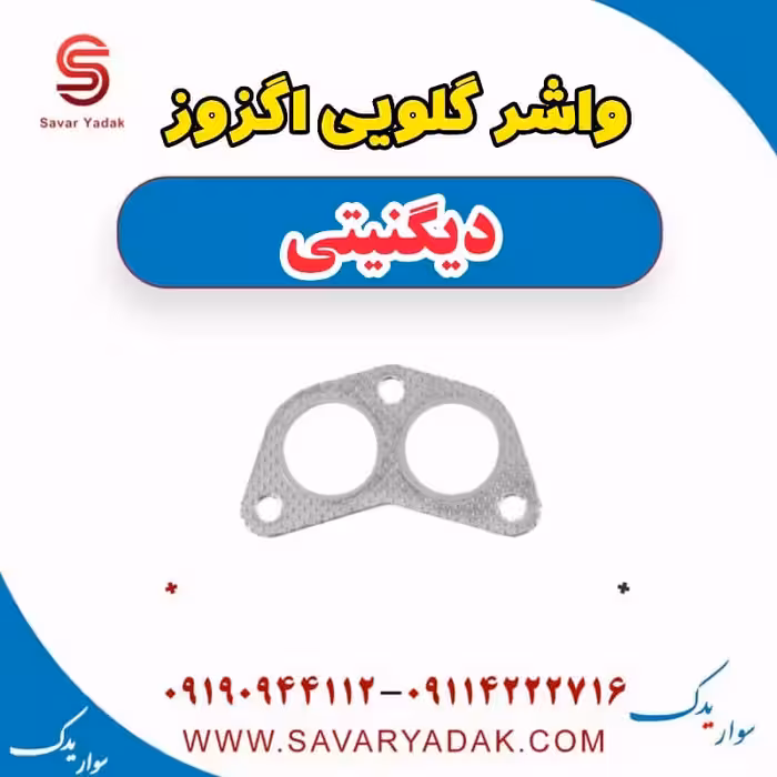 واشر گلویی اگزوز دیگنیتی