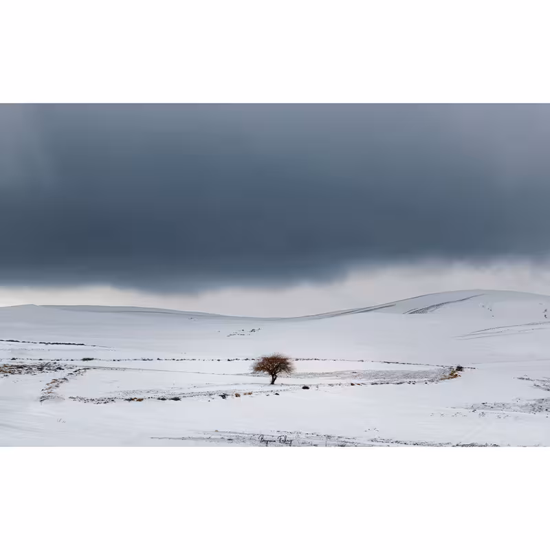 تابلو شاسی مدل 001 | دنیای قاب