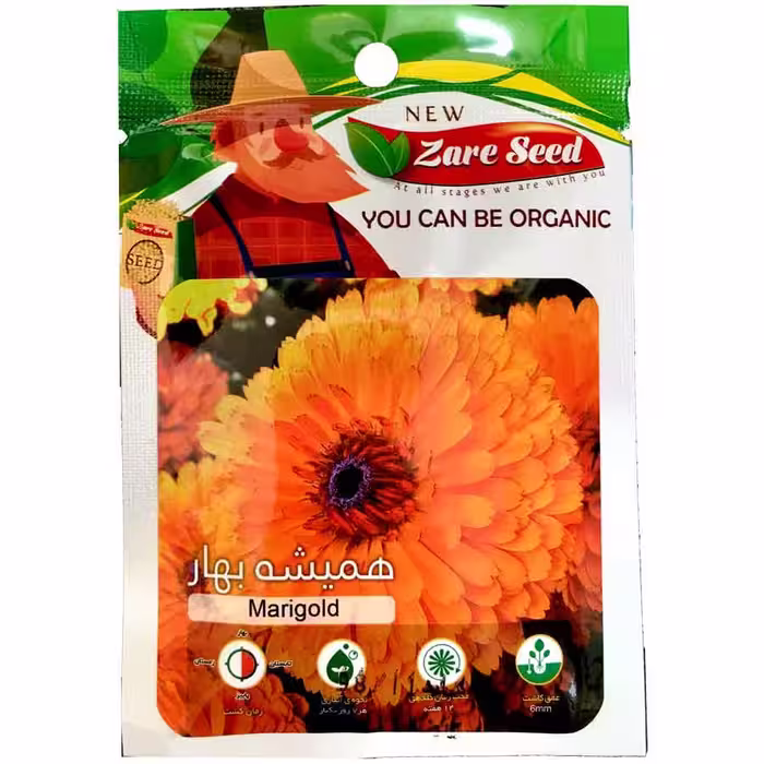 بذر گل همیشه بهار