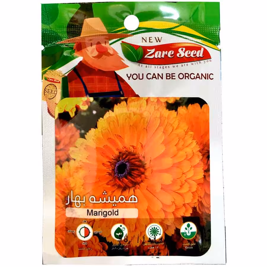 بذر گل همیشه بهار